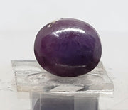 6.53 Ratti Star Sapphire with Govt. Lab Certificate-(5661)